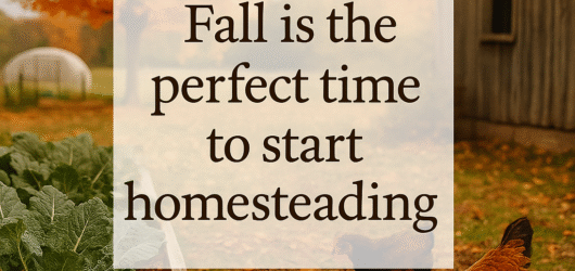 5 Steps to Launch Your Homestead This Autumn